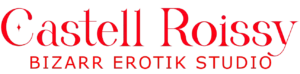 Castell Roissy logo
